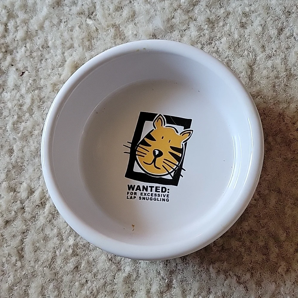 Food dish for cat